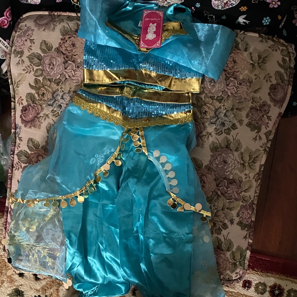 Girls Jasmine-Style Princess Costume – Turquoise & Gold – New